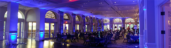Royal blue Uplighting